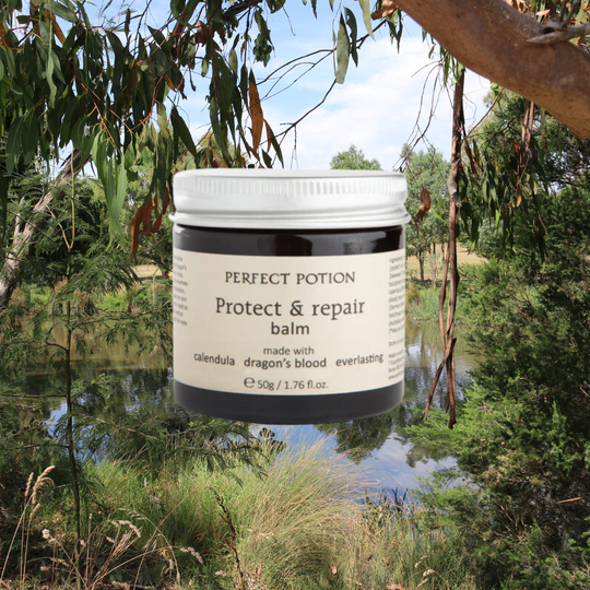 Protect and Repair, Perfect Potions